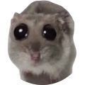 Hipolyte Zegzula Avatar